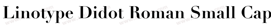 Linotype Didot Roman Small Caps & Oldstyle Figures字体转换